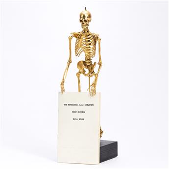 Winters, Stanley (circa 1950) Articulated Male Skeleton Model.